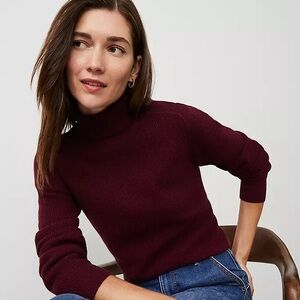 Ann Taylor Burgundy Turtleneck Sweater Sz XS